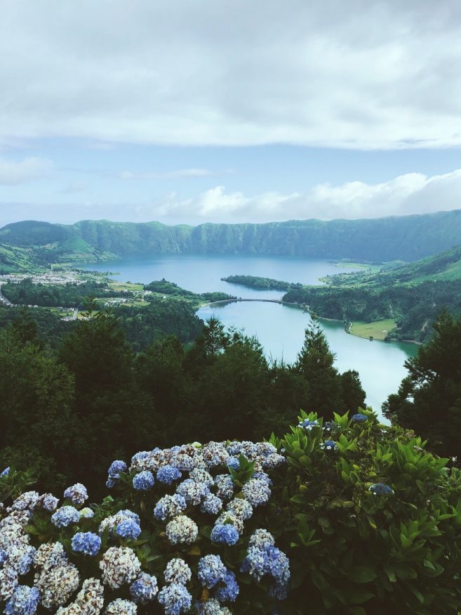 European safaris - Whales, The Azores