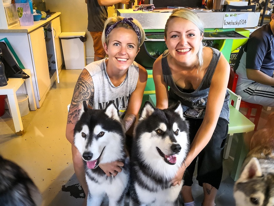 backpacking Malaysia - Malacca - The Huskitory - huskeys