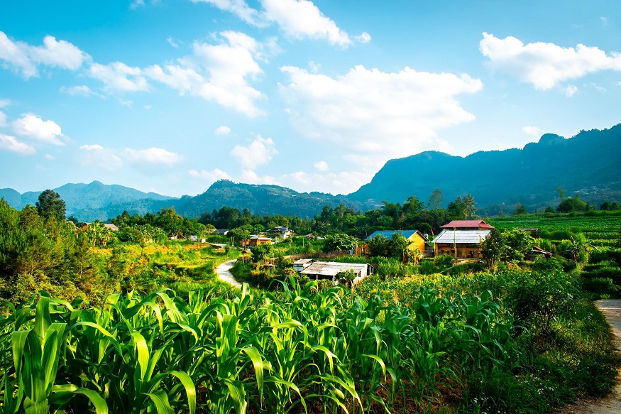 backpacking Malaysia - things to do Cameron Highlands - green landscape
