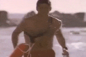 David Hasselhoff - Weird museums