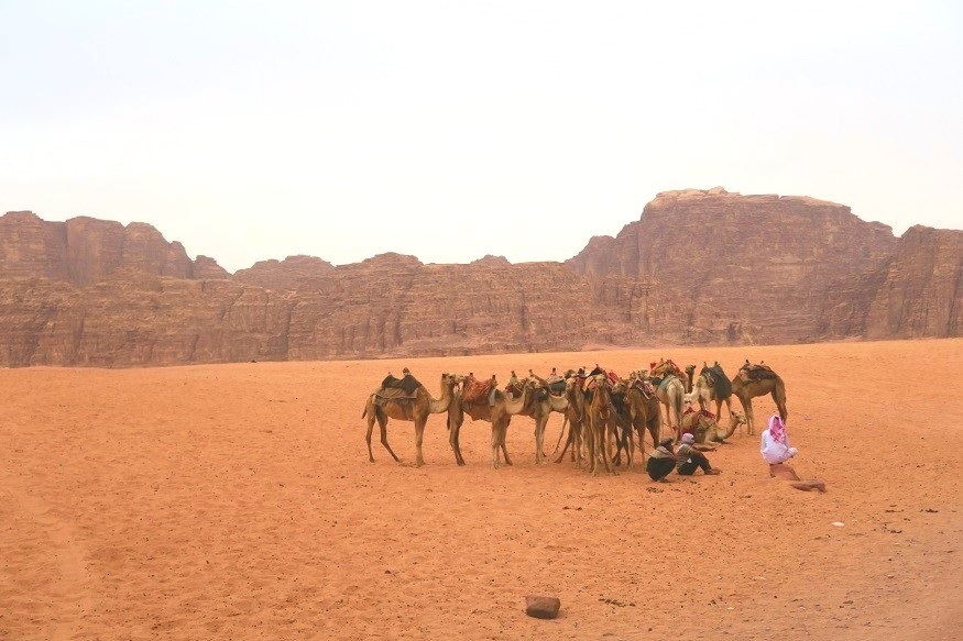 backpacking jordan - people with camels making a halt in the desert
