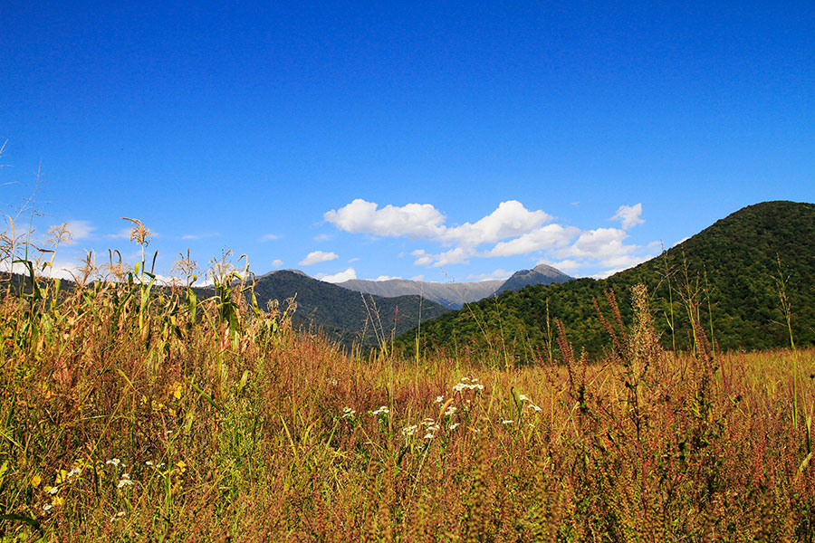 georgia cosa vedere, kakheti