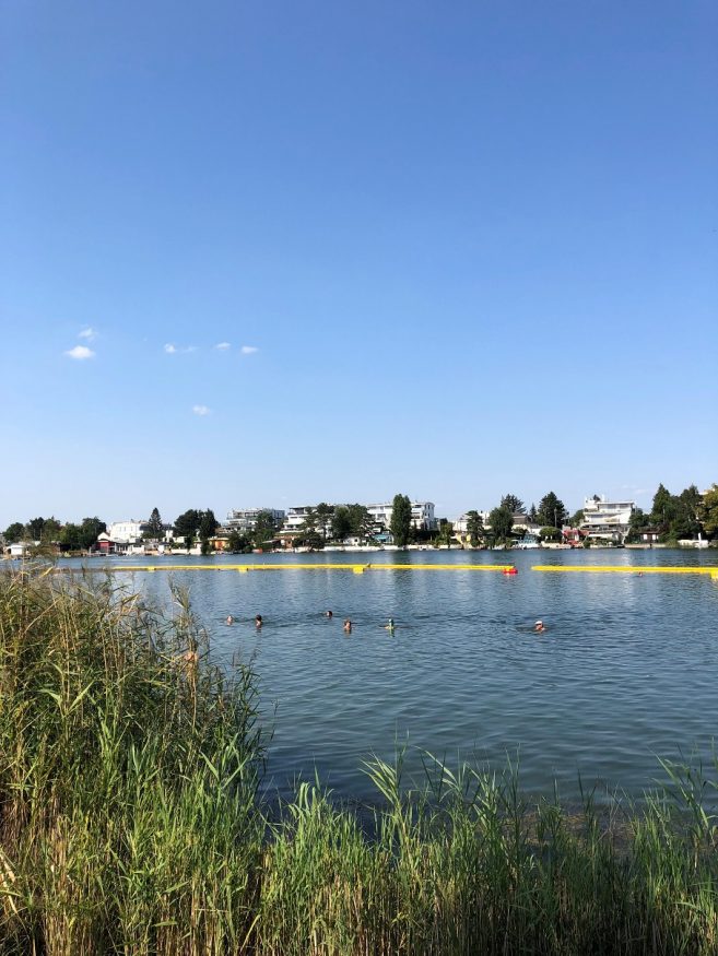 festivals deutschland - Donau