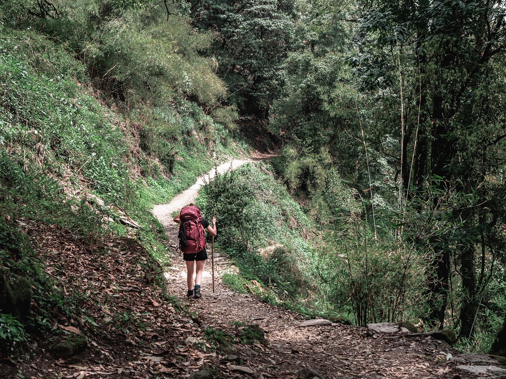 nepal trekking - Backpacker mit Rucksack wandert durch die Natur