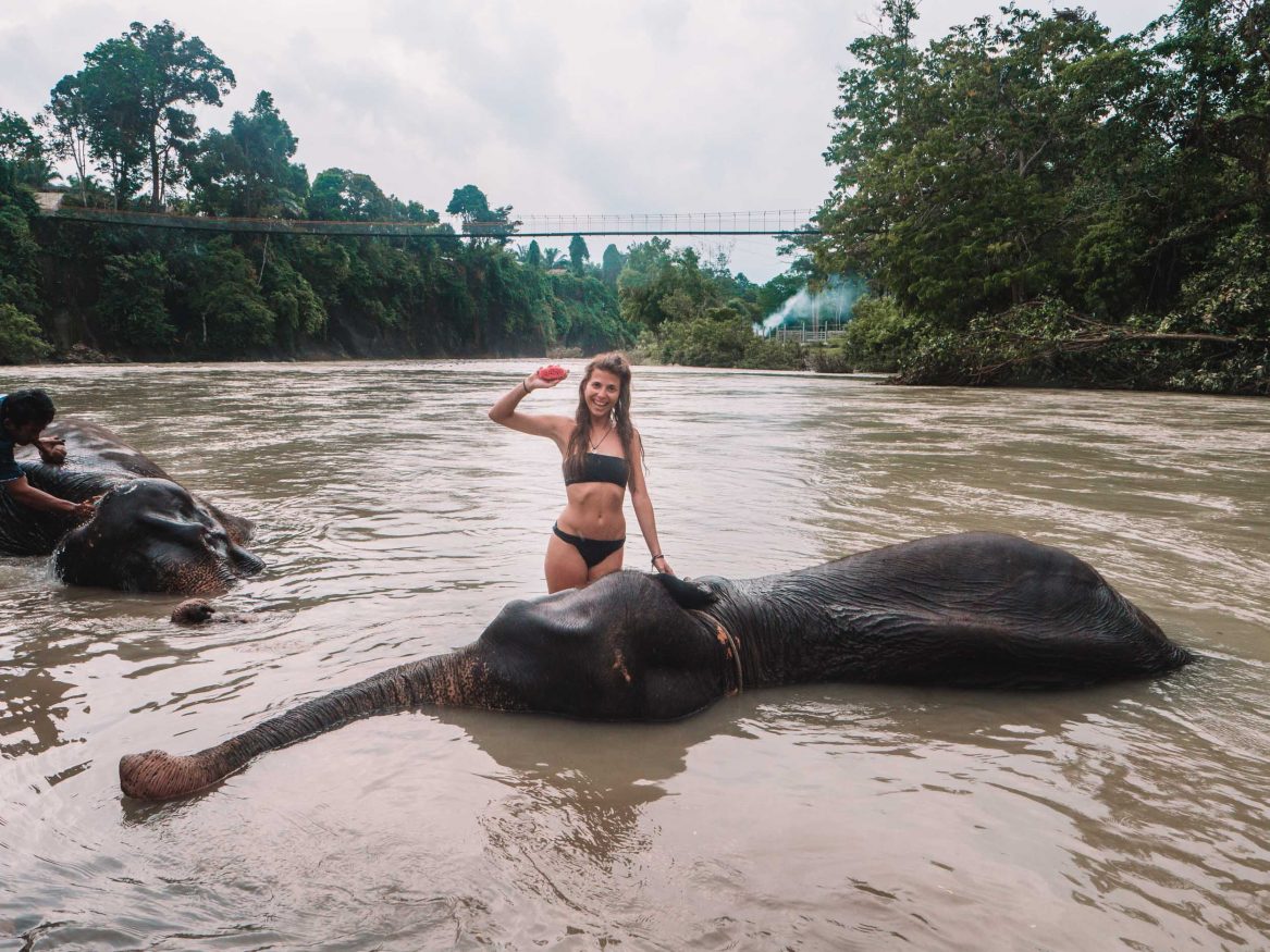 insel sumatra - junge Frau beim Elefanten Waschen