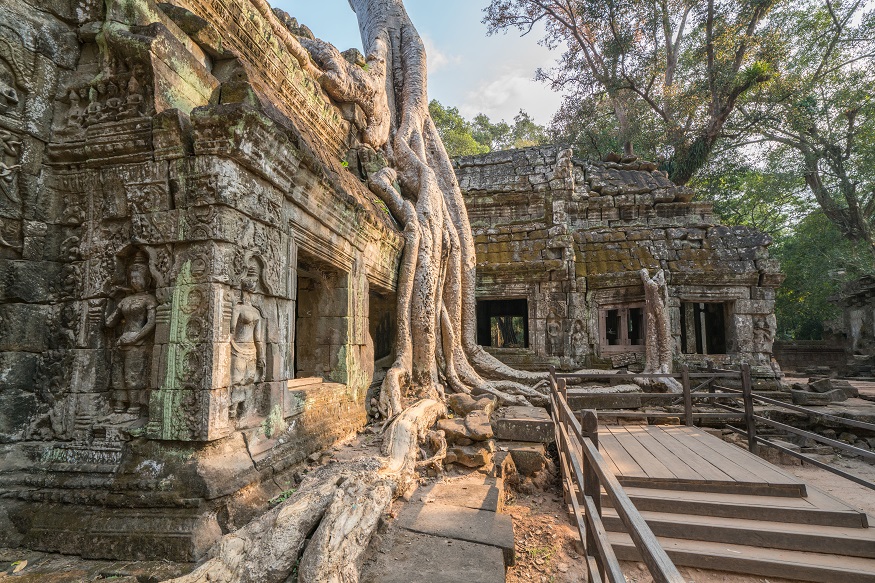 best temples in cambodia, Ta Prohm
