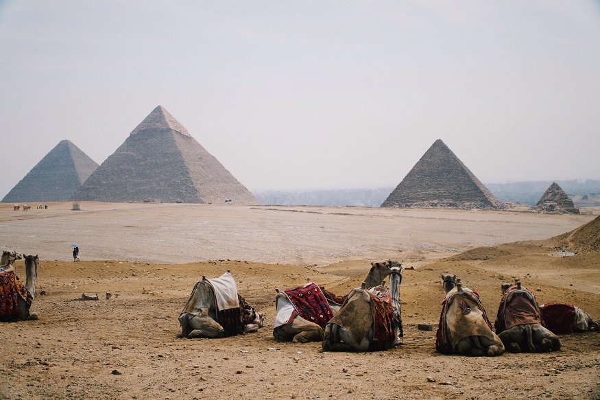best destinations for book lovers, camels by the pyramids of giza