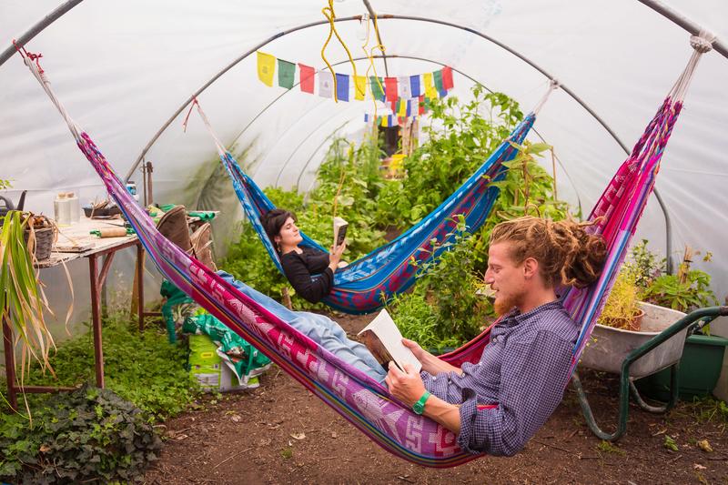 People reading in hammocks in the polytunnel at The Black Sheep Hostel in Ireland, nominated for extraordinary sustainable hostels award