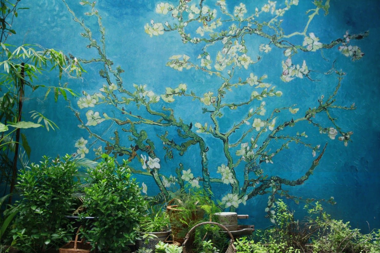 Hostel Image