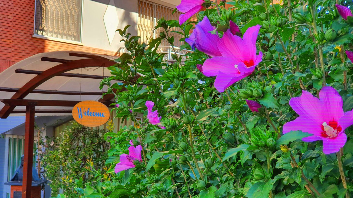 Hostel Image