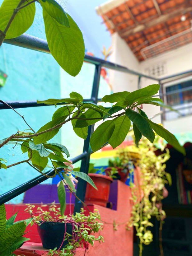 Hostel Image