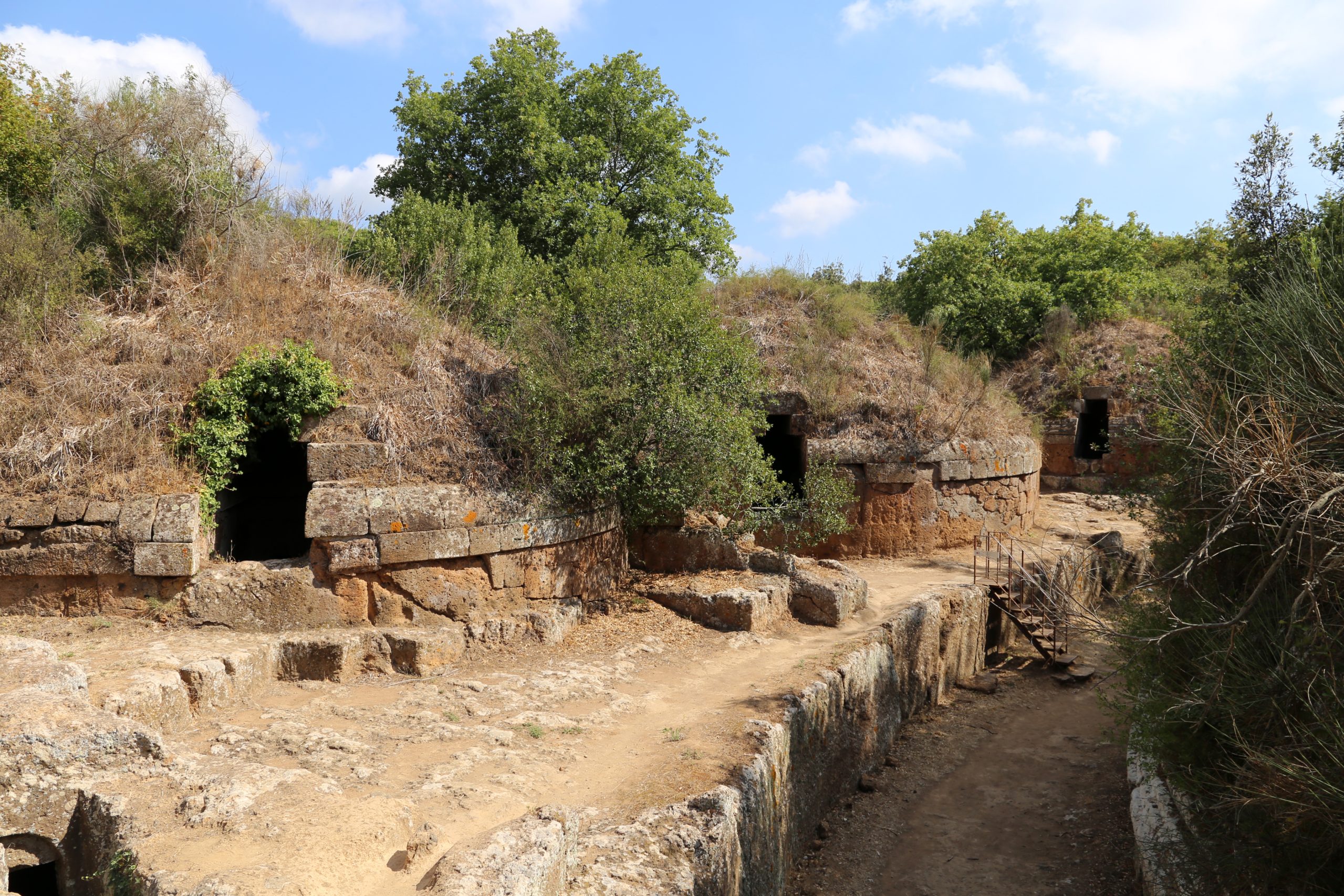 Cerveteri,_necropoli_della_banditaccia,_via_delle_serpi day trips from rome