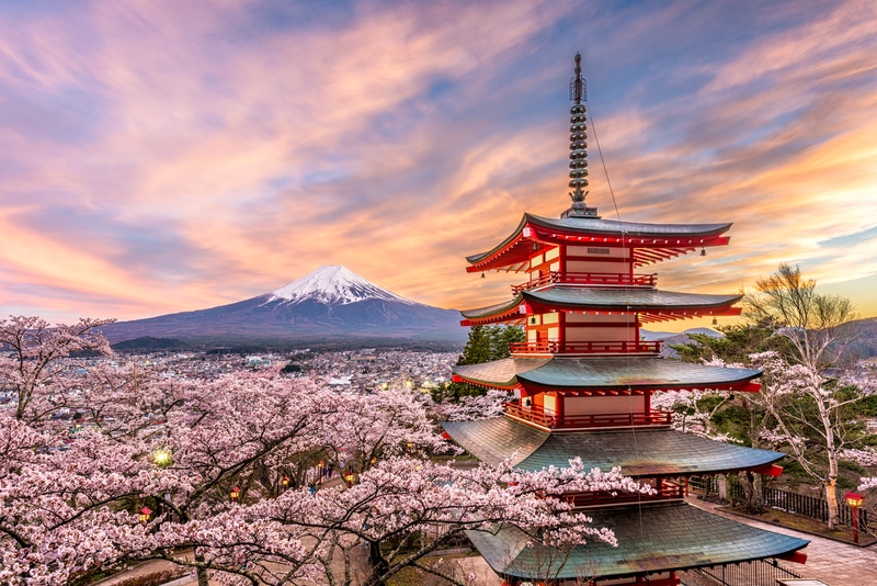Japan Landscape Temple with Mount Fuji View in Spring with Cherry Blossoms- Safest Countries for Solo Female Travellers