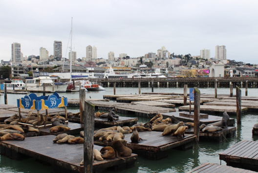 San Francisco in Winter View - Best Places to Visit in January in US