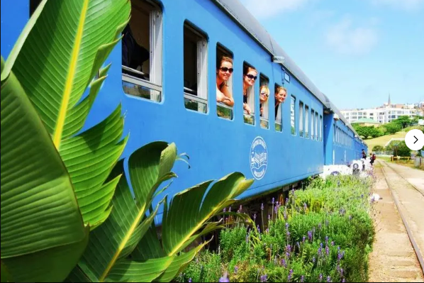 Santos Express Train B&B