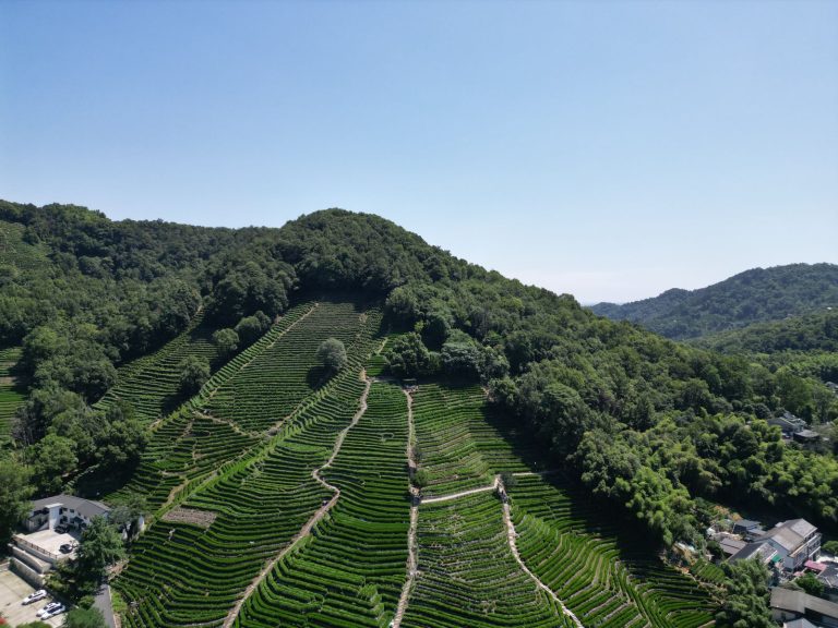 Longjing villages