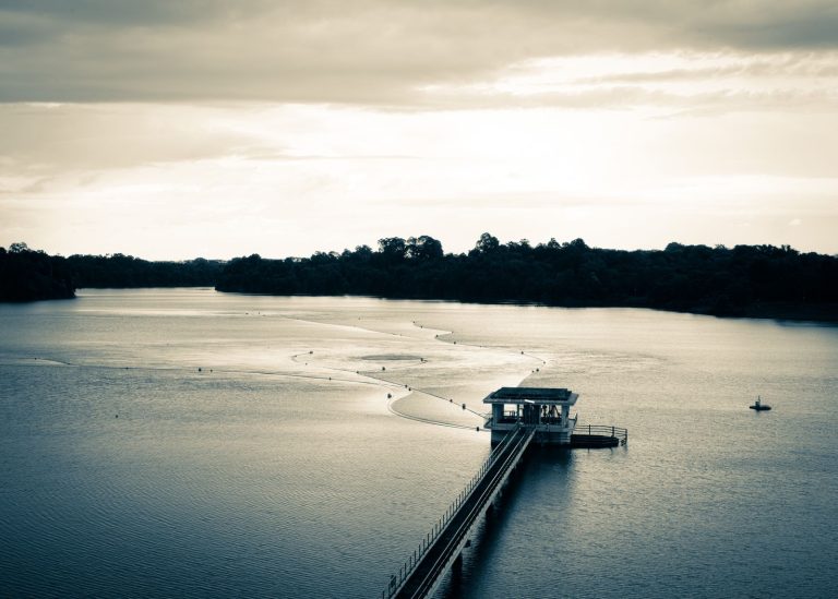 MacRitchie