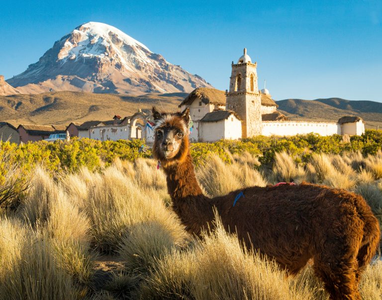 South America