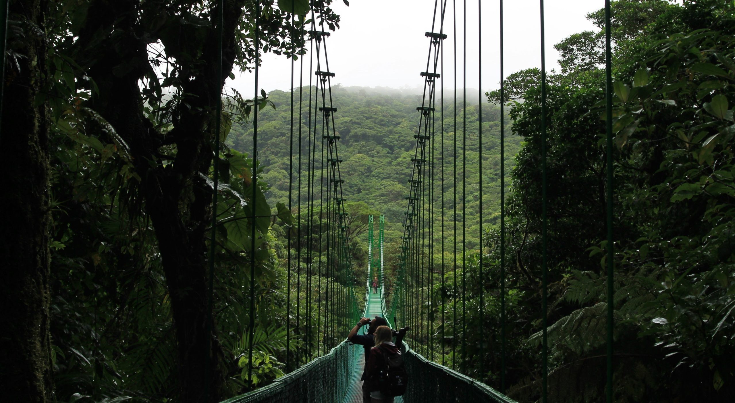 Monteverde