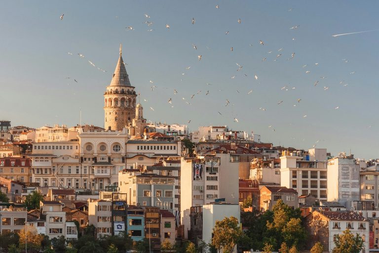 aerial view of buildings and flying birds, day trips from istanbul