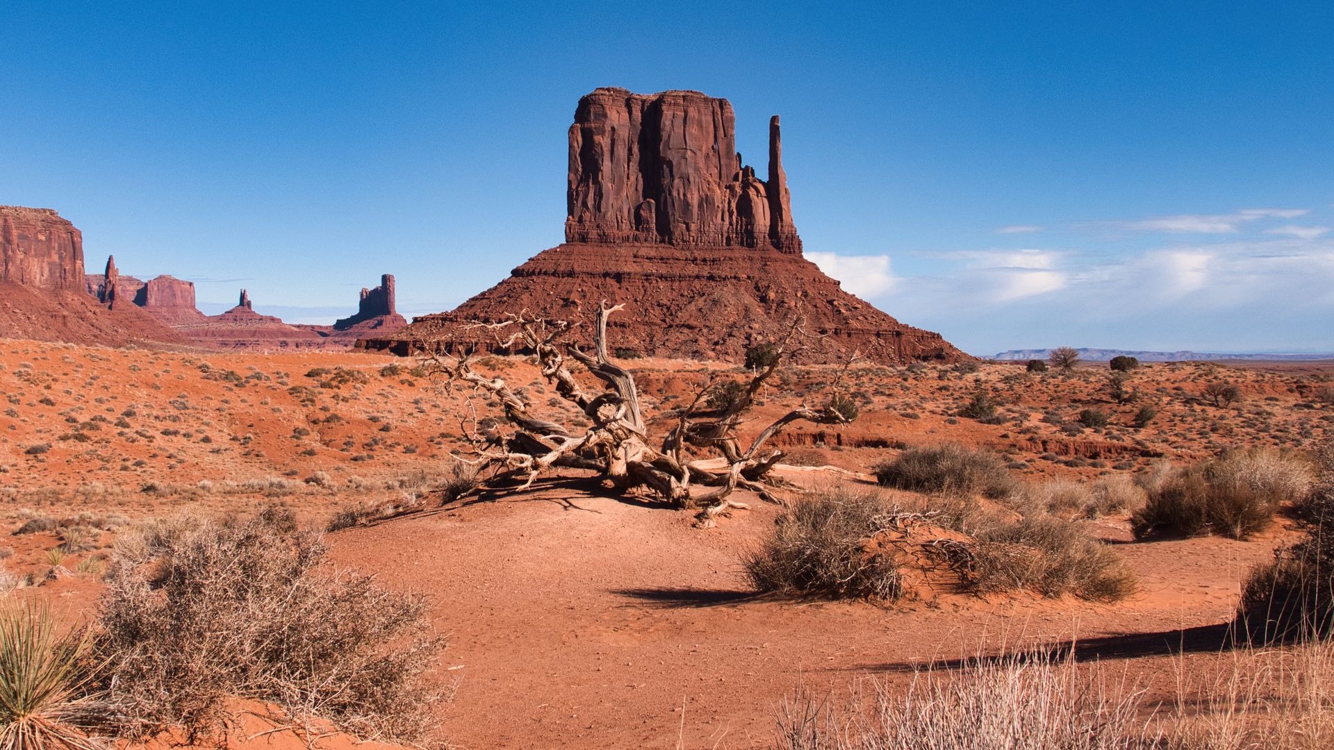 Arizona