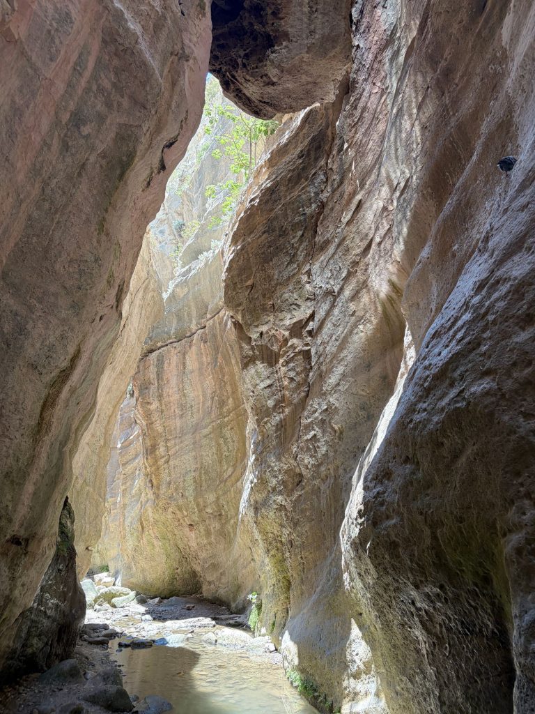 Avakas Gorge