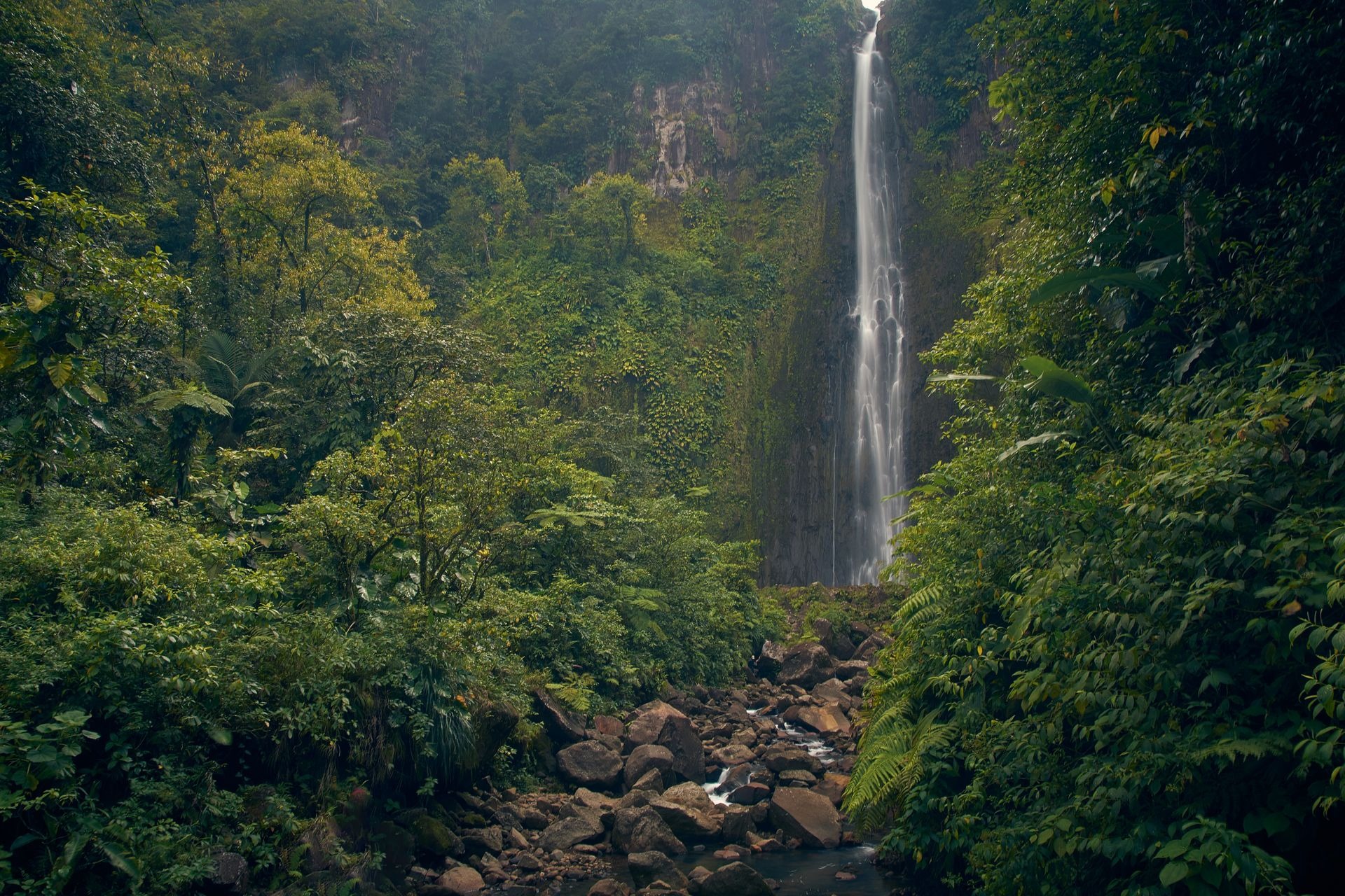 Basse-Terre