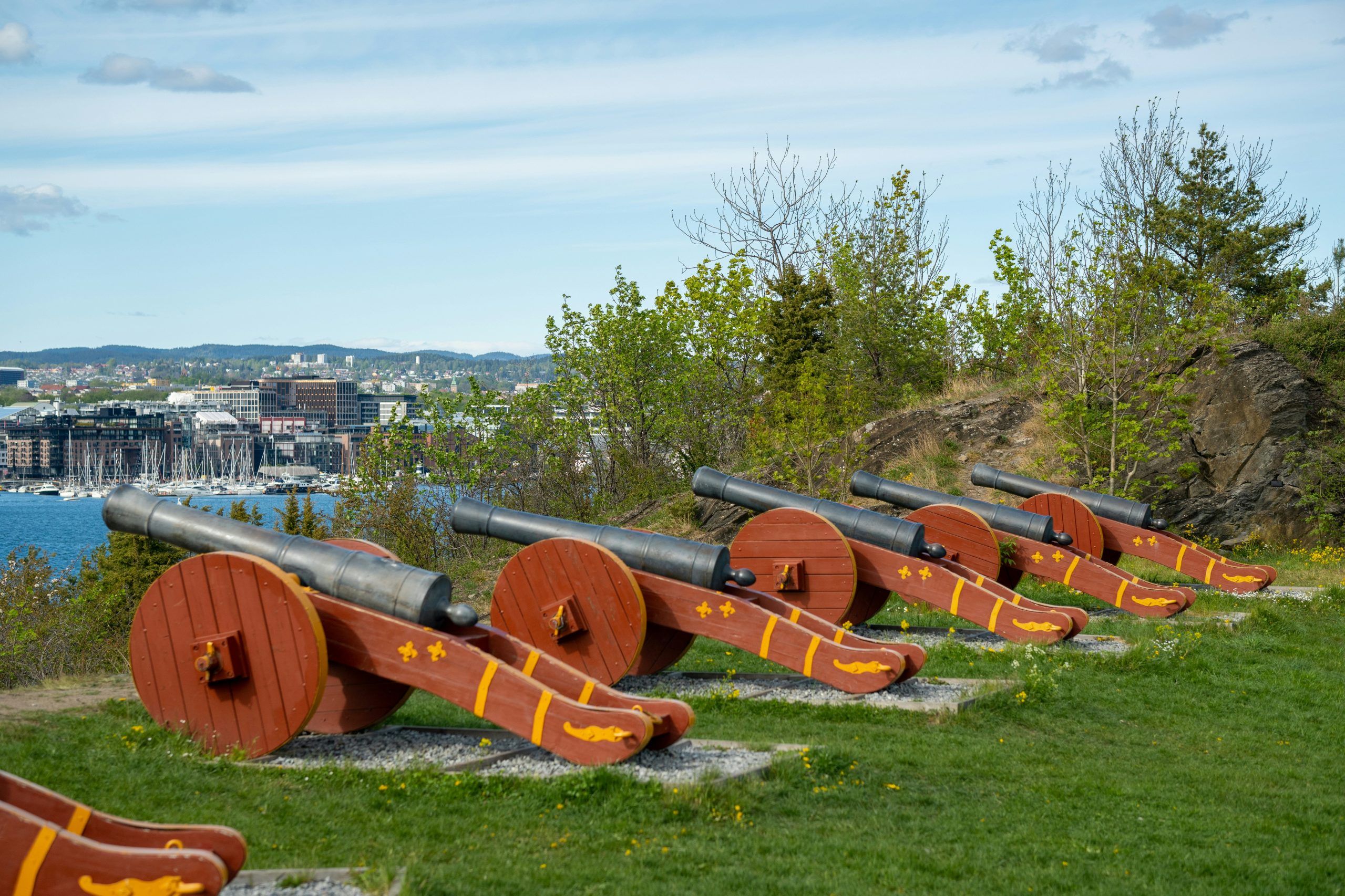 a row of wooden cannons guns sitting on top of a lush green field