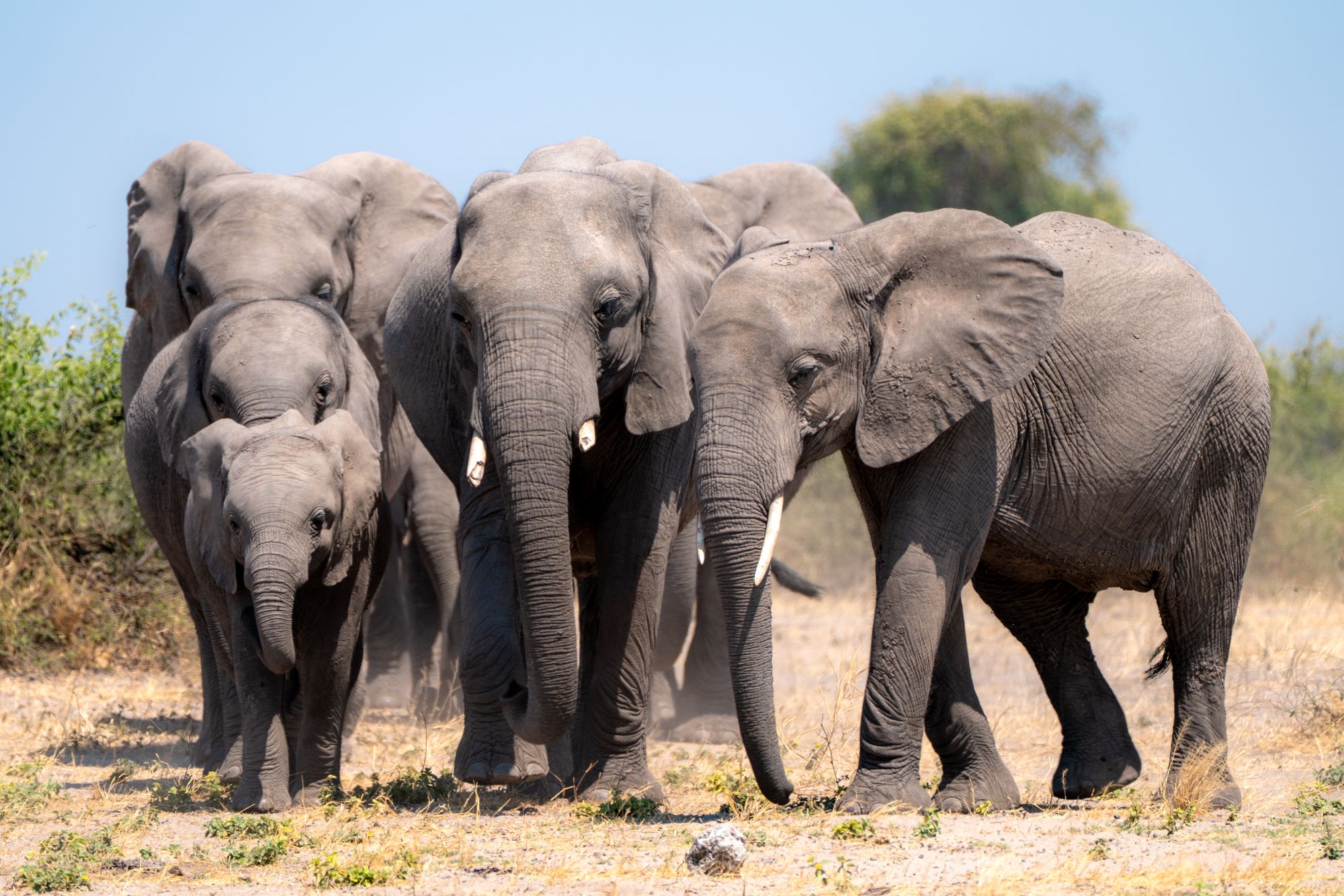 Botswana