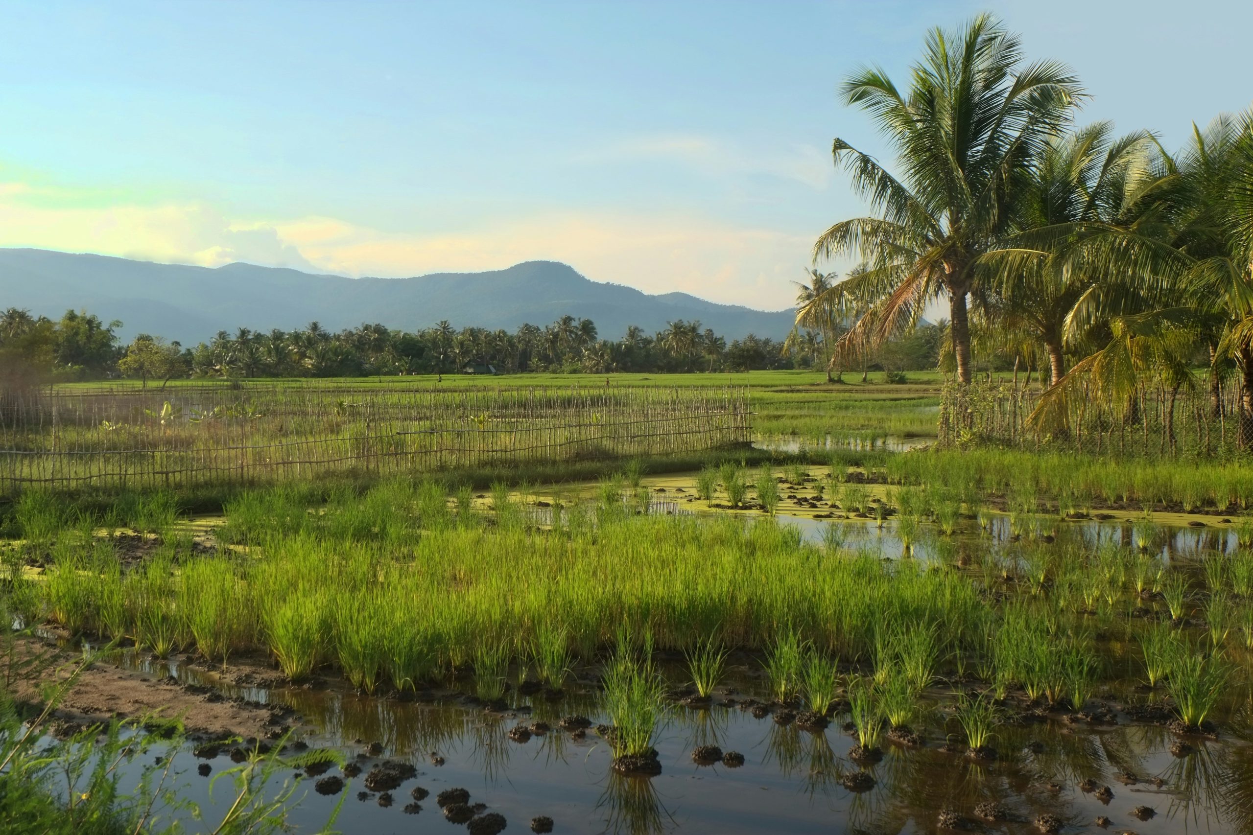 Kampot