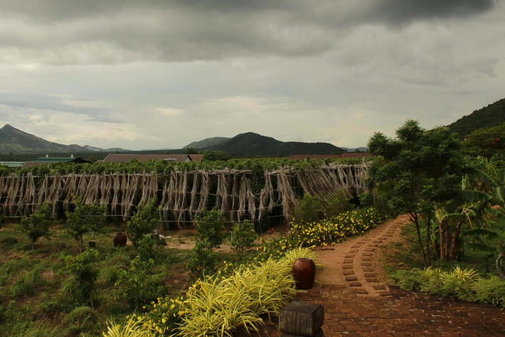 Kampot