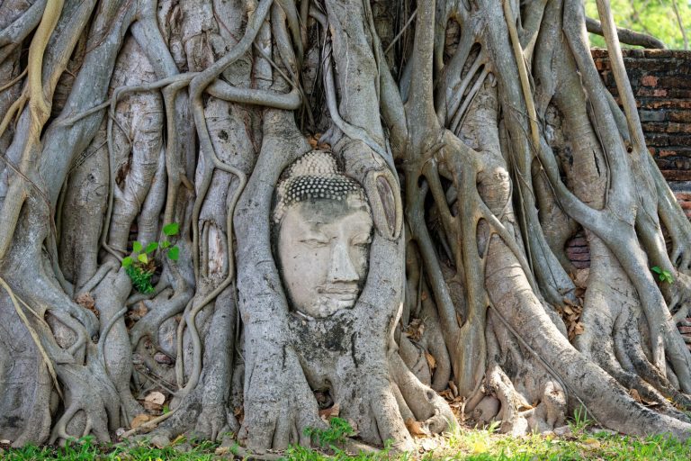 Ayutthaya