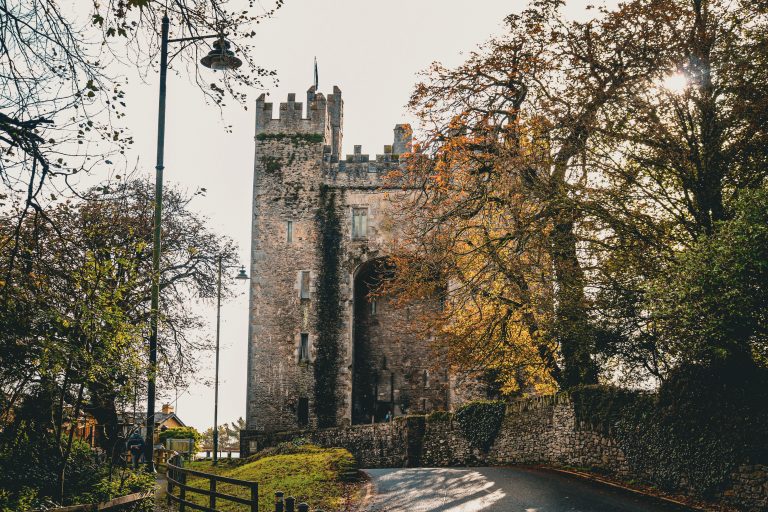 Bunratty Castle and Folk Park