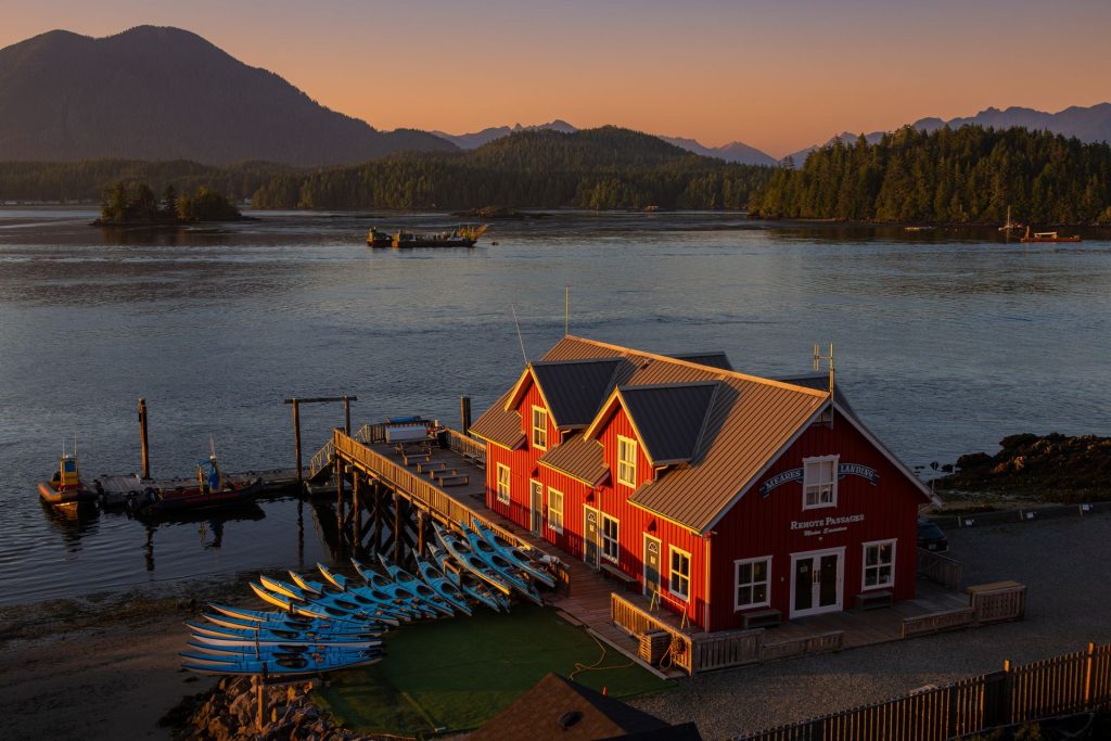 Tofino
