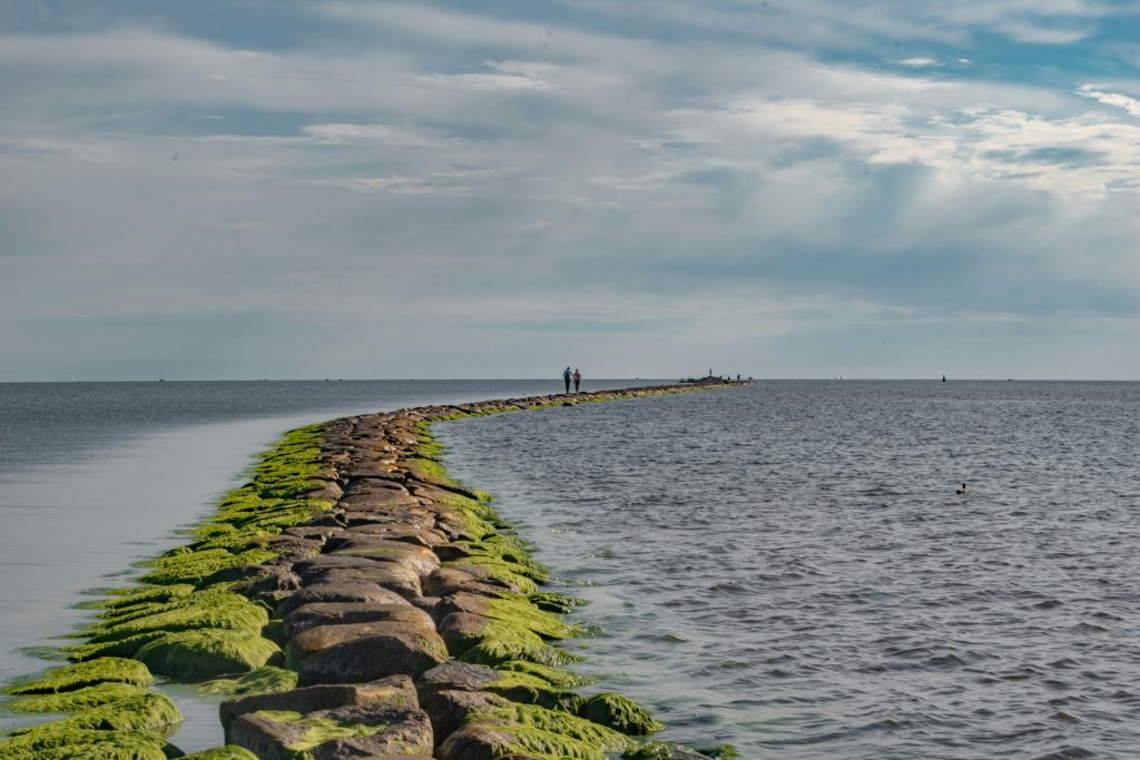 Pärnu