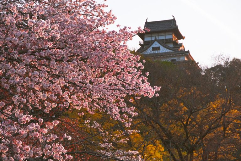 Inuyama