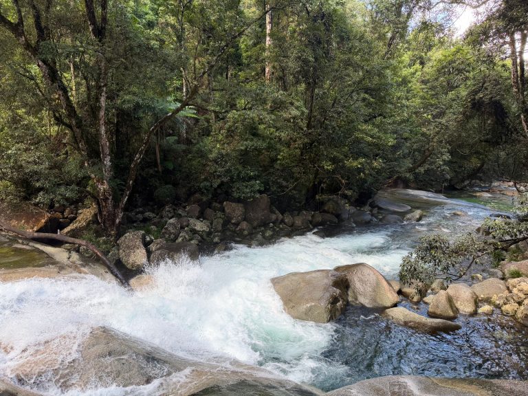 Daintree and Cape Tribulation