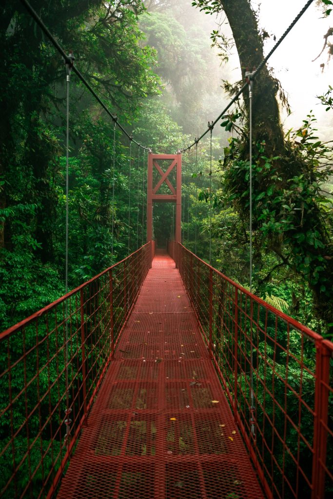Monteverde