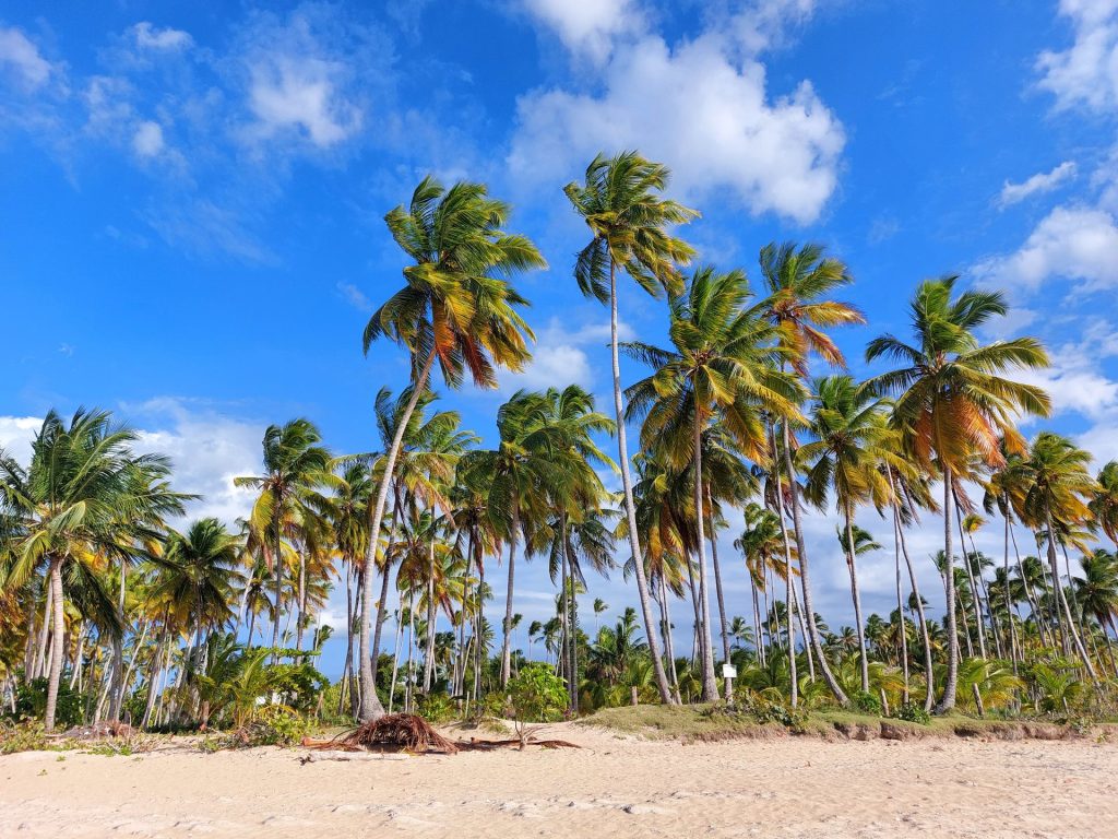 Las Terrenas