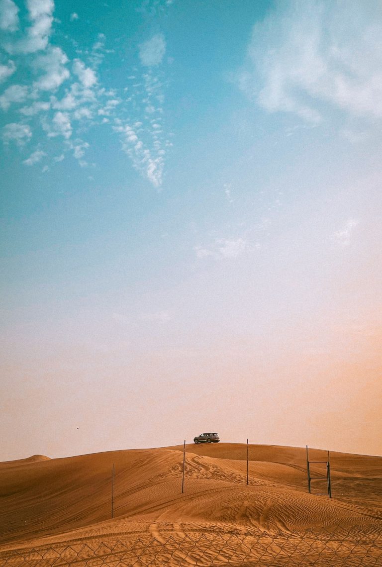 Desert safari