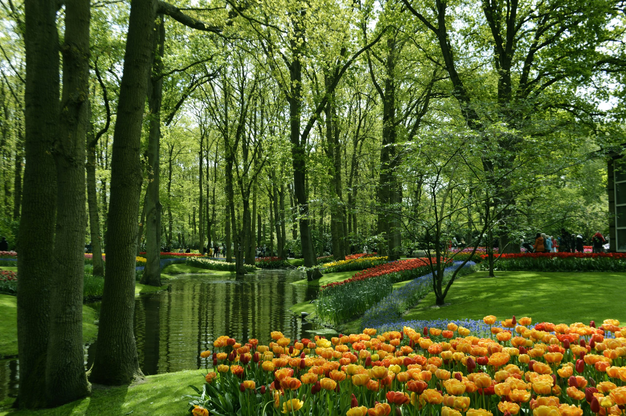 day trips from amsterdam