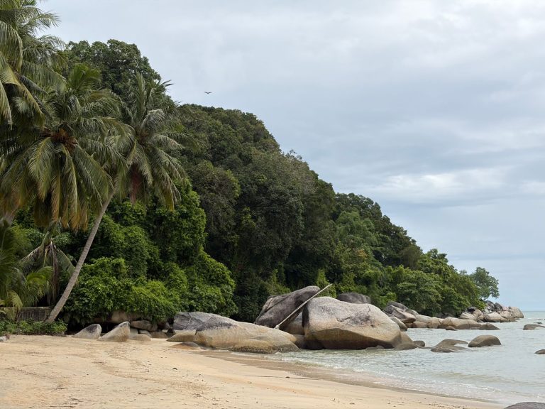 Penang National Park