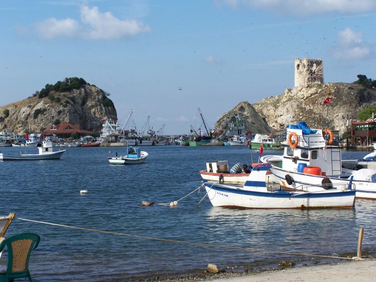 Black Sea coast