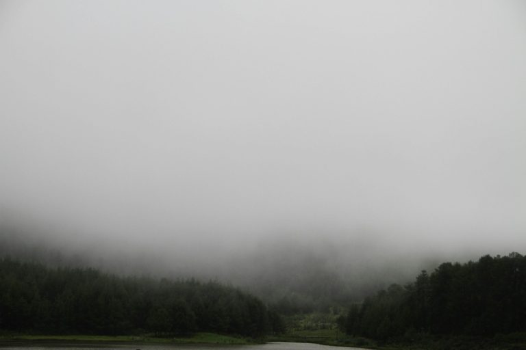 Nyanga