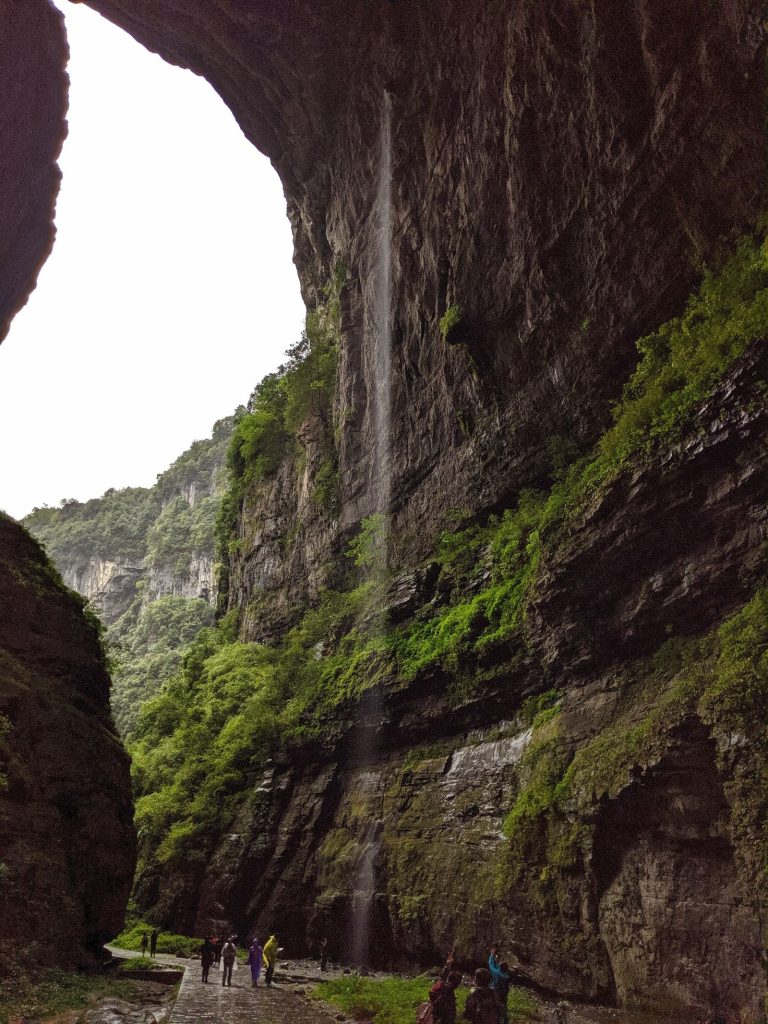 Wulong