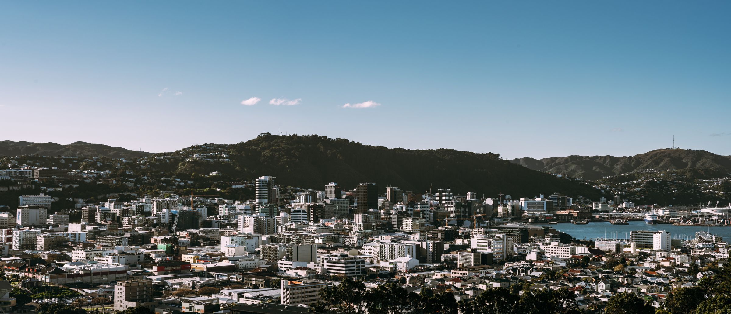 Wellington