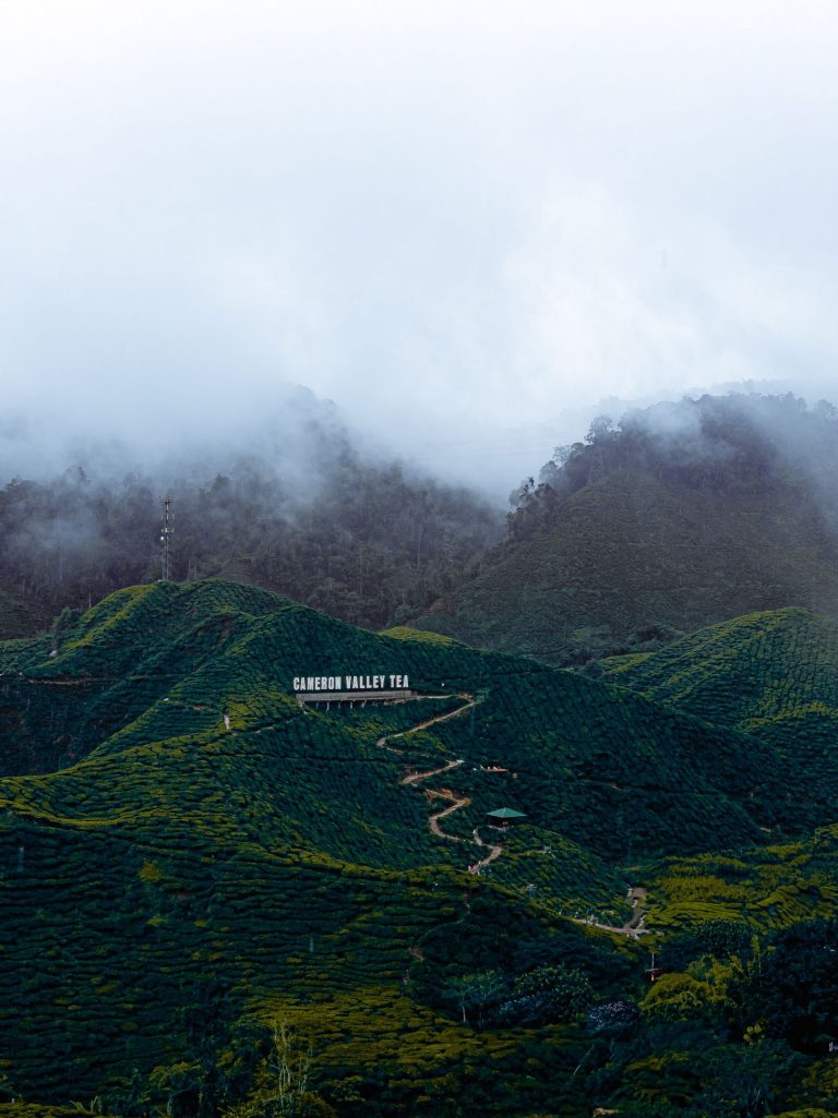Cameron Highlands