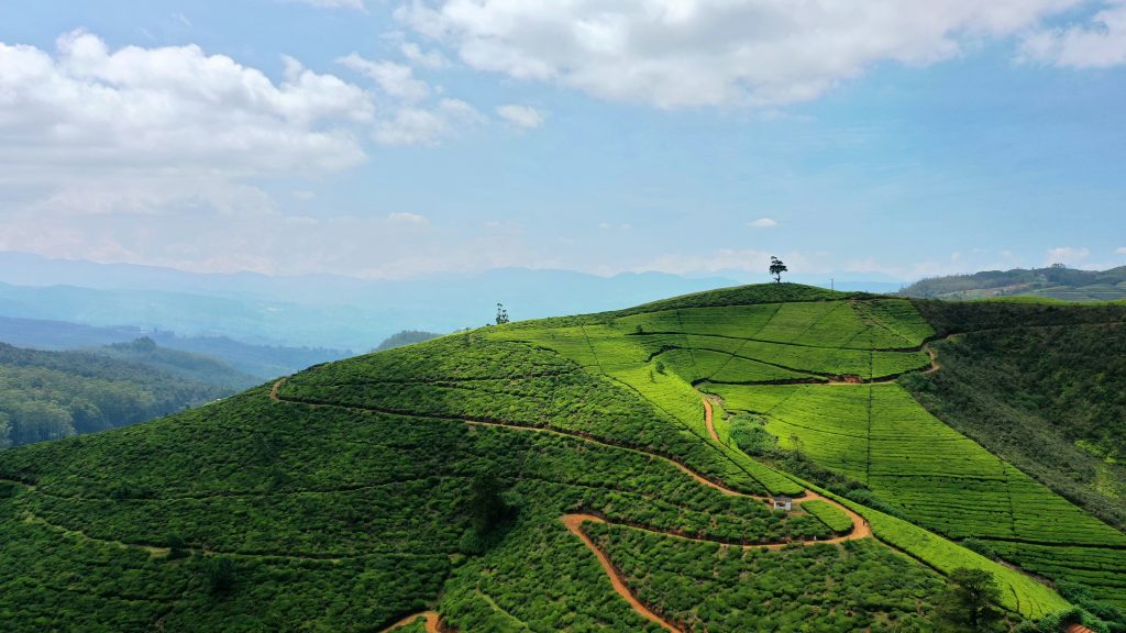 Nuwara Eliya