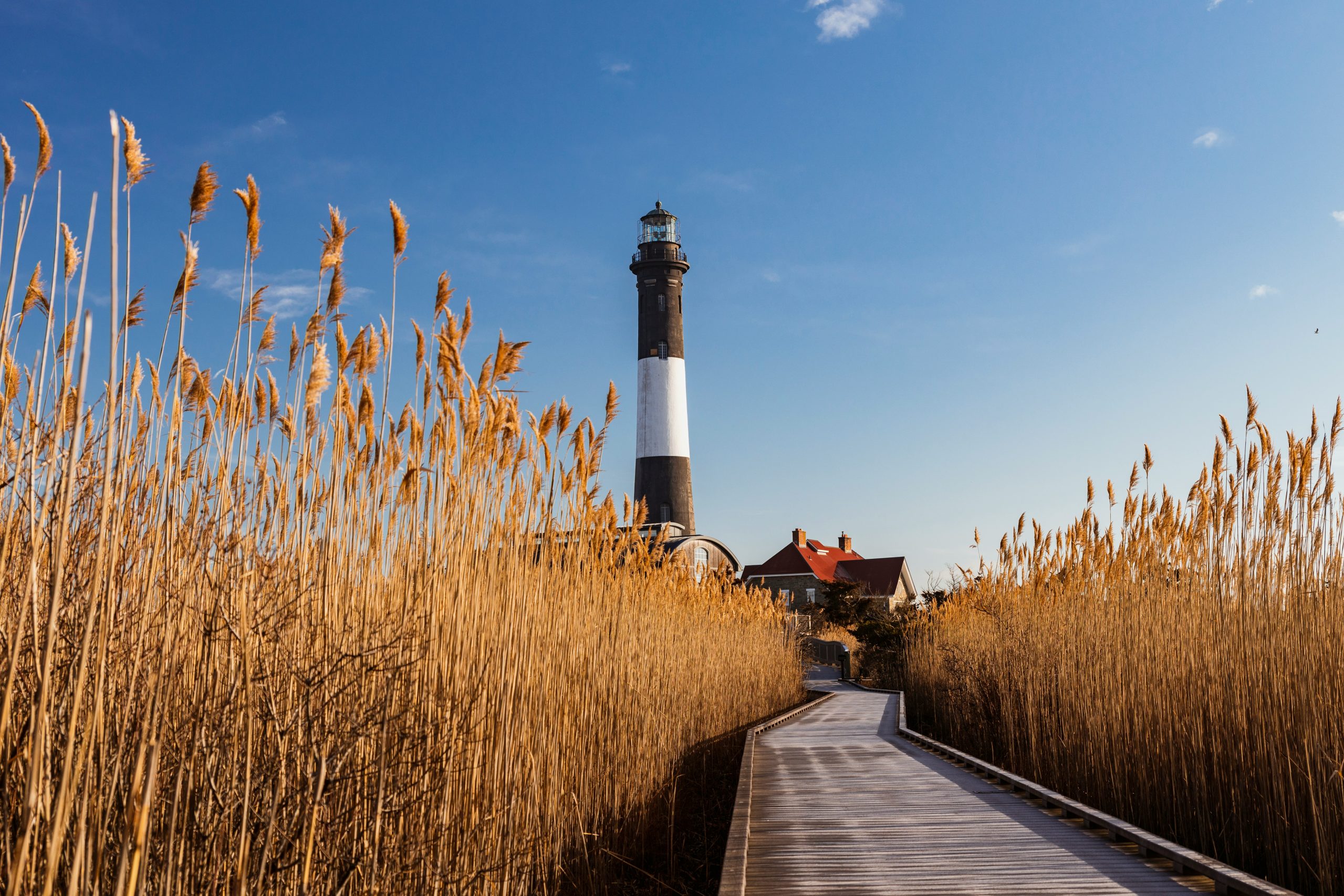 white and black lighthouse near brown grass field under blue sky during daytime