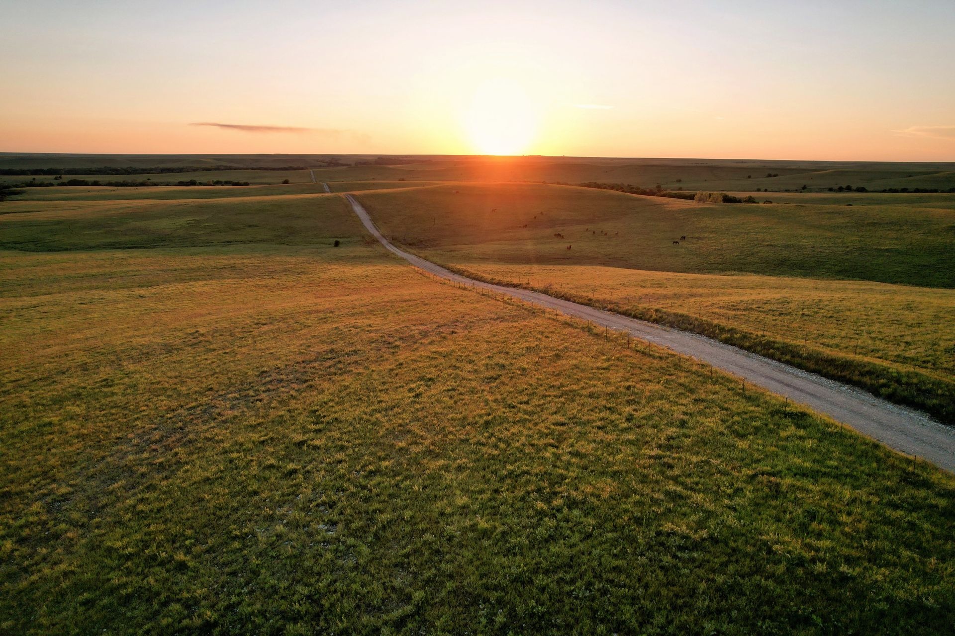 Kansas